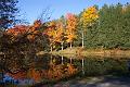 fall 042